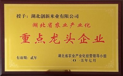 重點龍頭企業