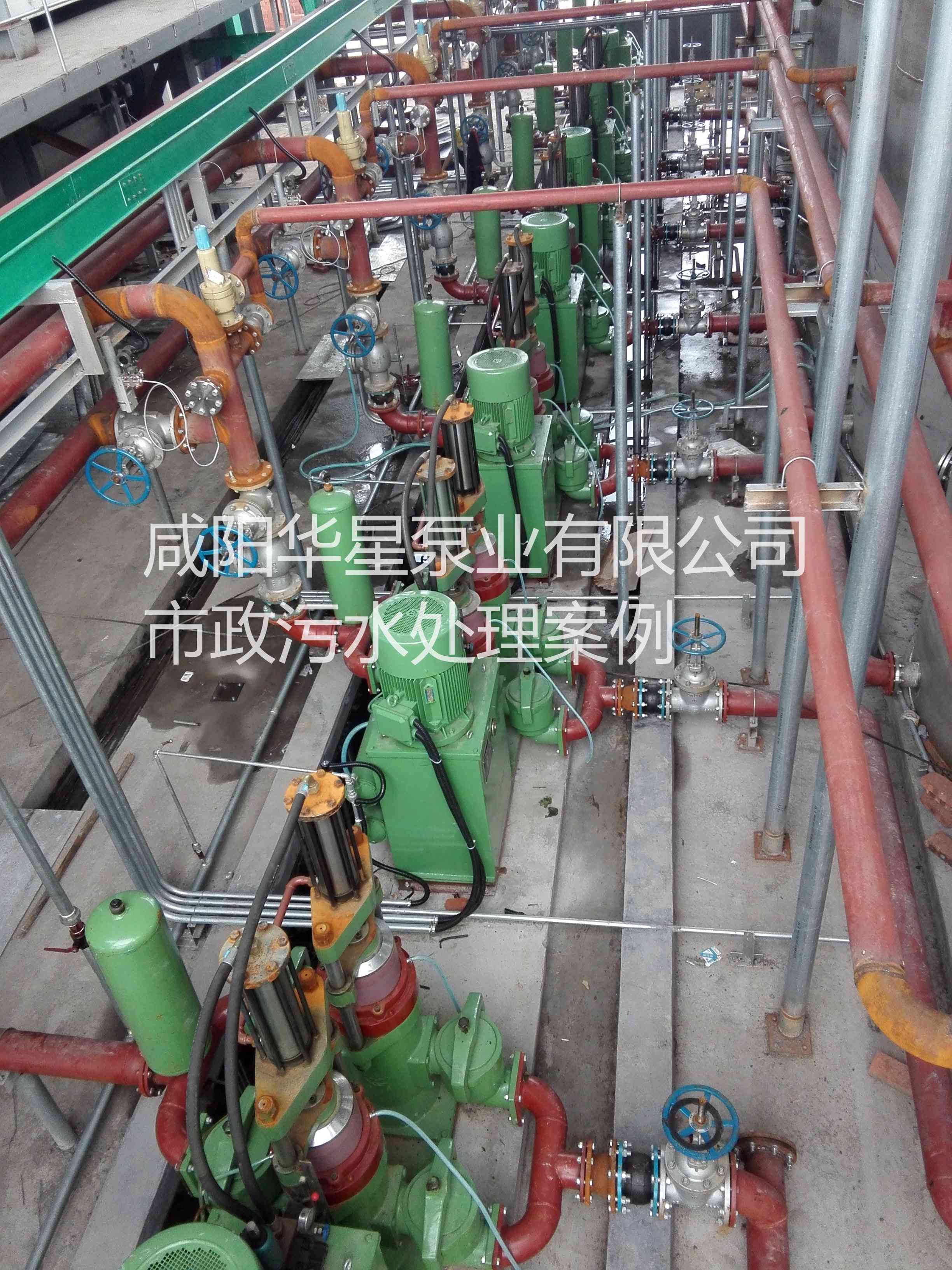 污水處理廠使用YBH250柱塞泥漿泵現場圖片