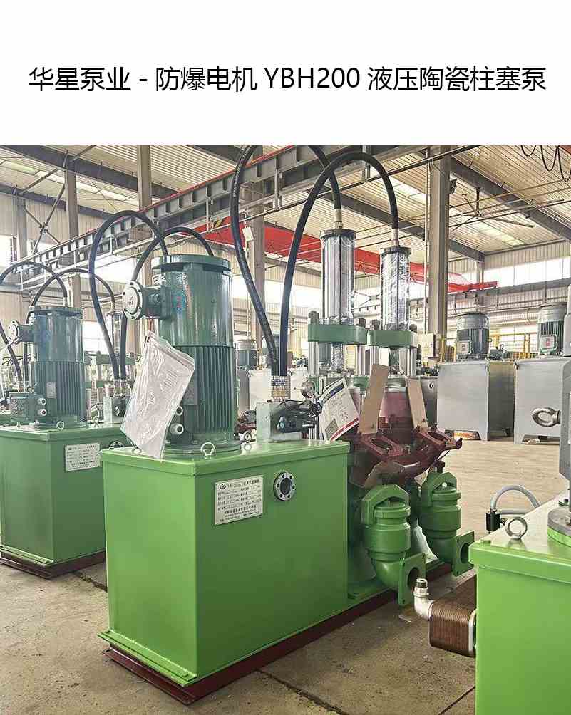 客戶訂購2臺帶防爆電機(jī)YB200柱塞泥漿泵