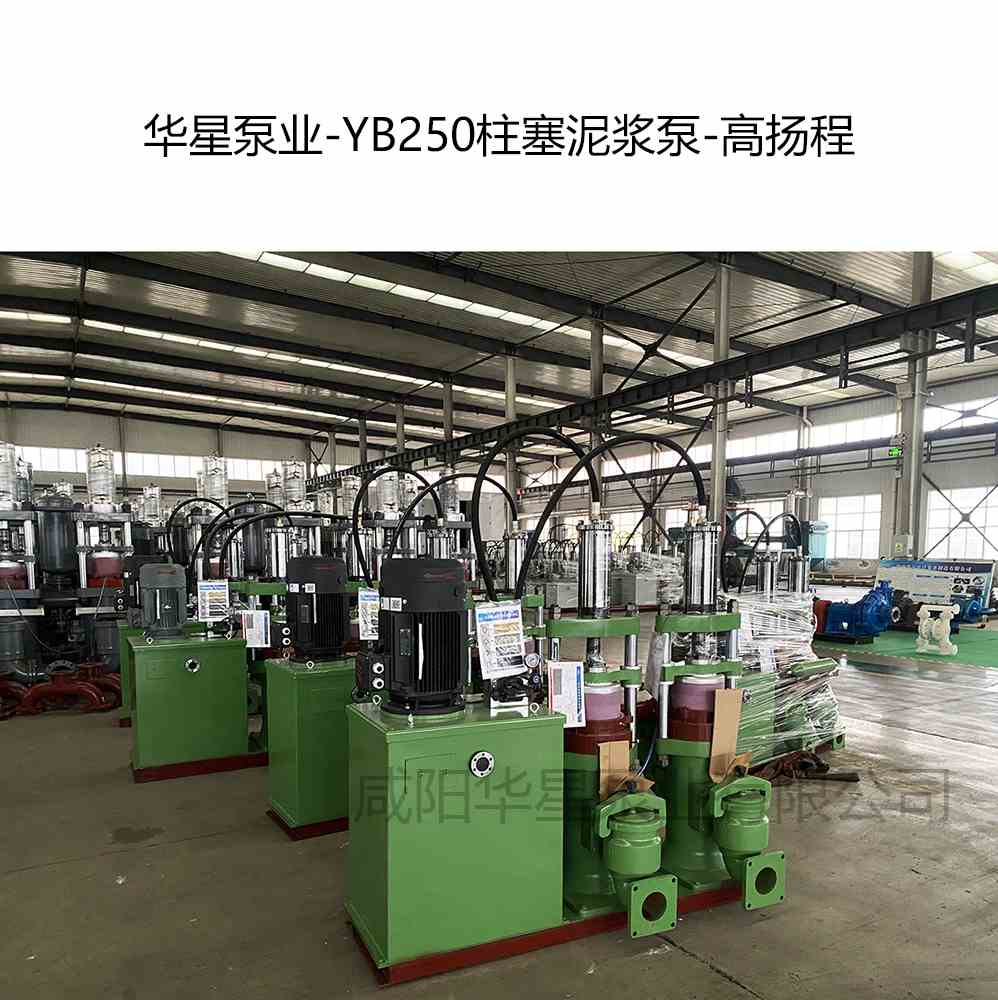 選礦廠購(gòu)買(mǎi)2臺(tái)YB250高揚(yáng)程柱塞泥漿泵